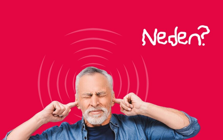 Kulağımdaki Çınlama Durmuyor, Neden?
