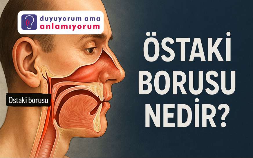 Östaki Borusu Nedir?